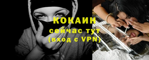 дживик Абинск