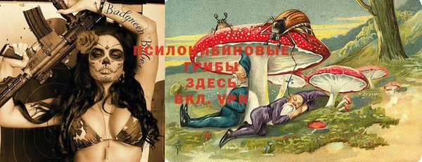 круглые Алексеевка
