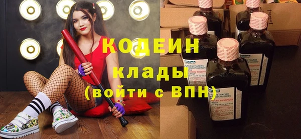 дживик Абинск